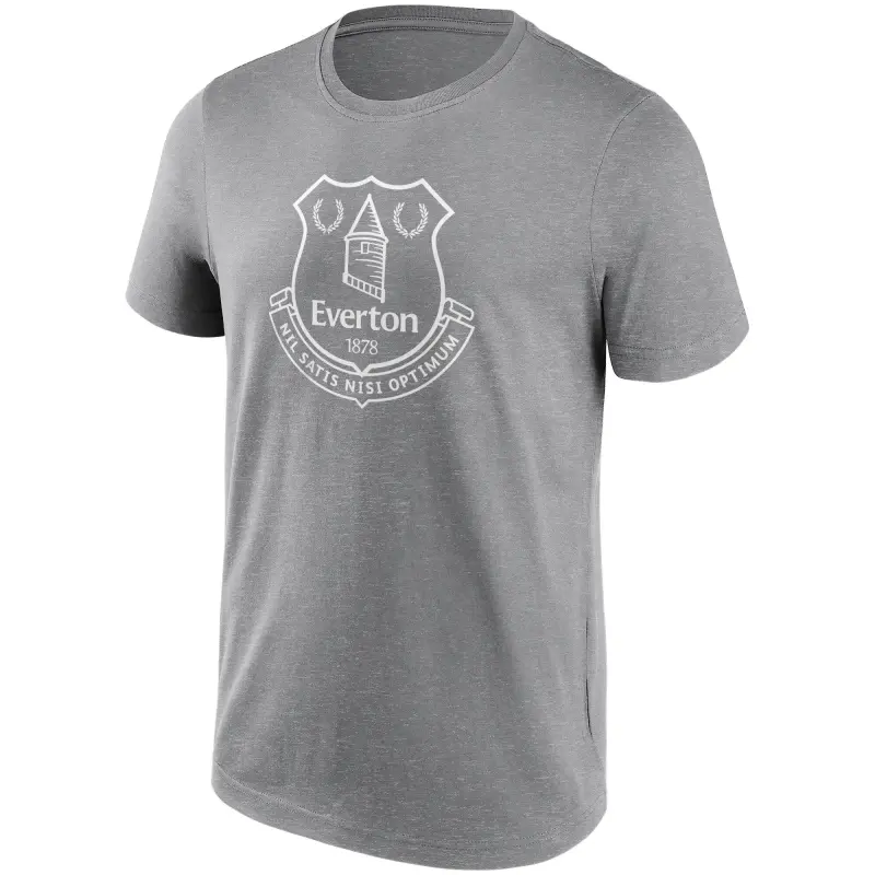 everton-mono-logo-graphic-t-shirt-grey-mens-13346225